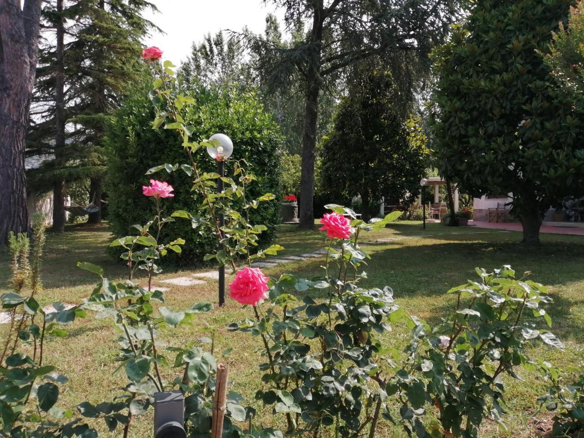 Villa Oasi San Giuliano Terme Exterior foto